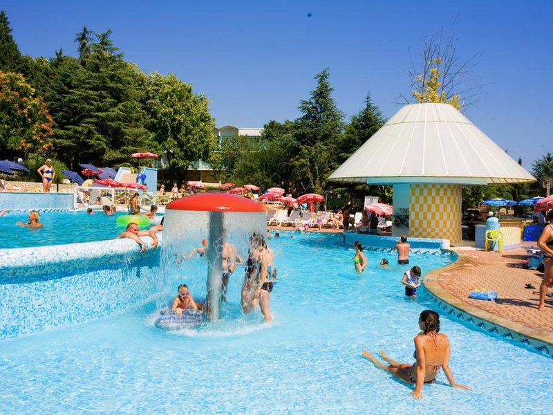 Complex Orhideya 164648