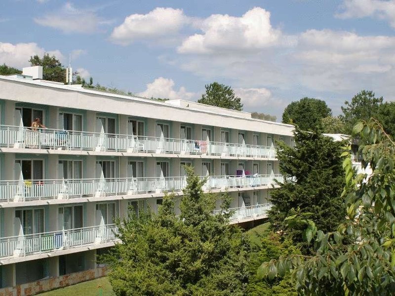 Complex Orhideya 164653