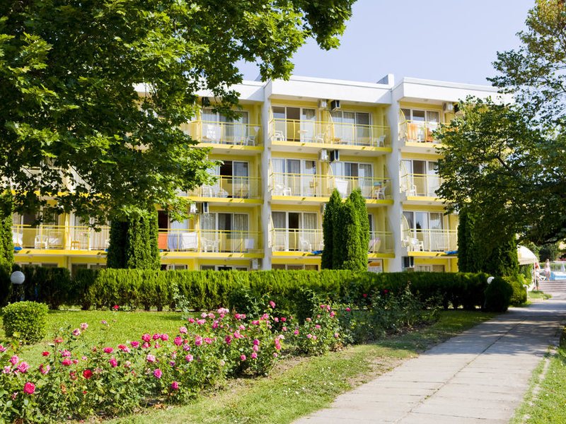 Complex Orhideya 164655