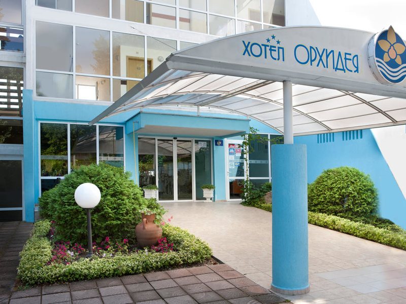 Complex Orhideya 164656