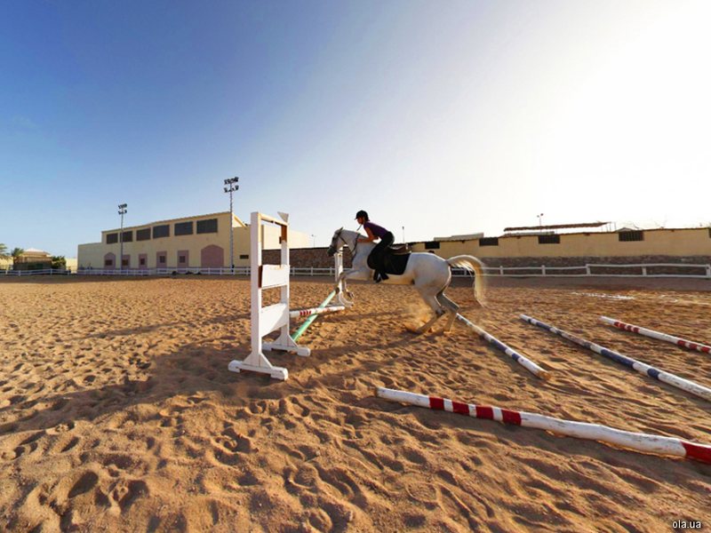 Concorde El Salam Sport 23818