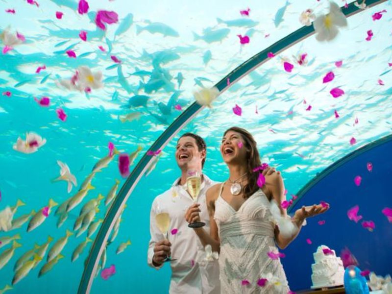 Conrad Maldives Rangali 134309