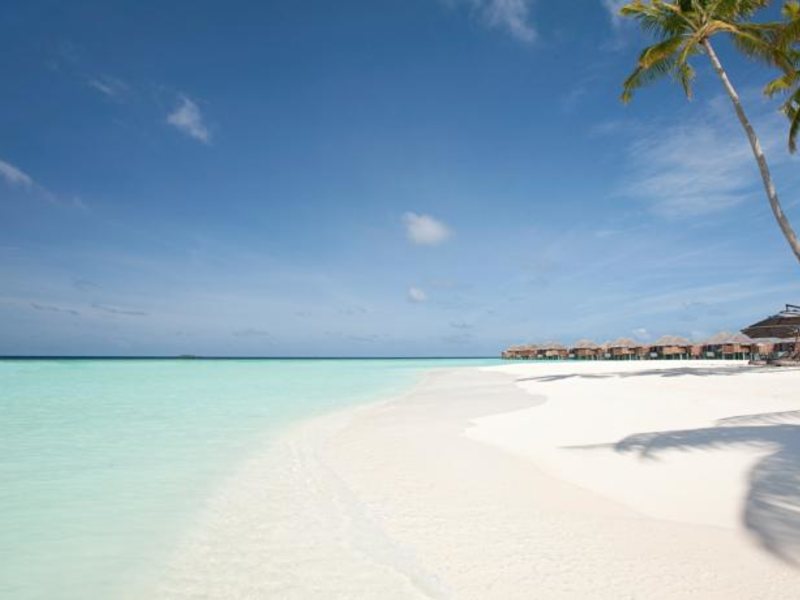 Constance Halaveli 134373