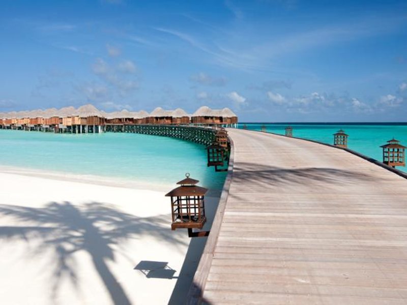 Constance Halaveli 134374