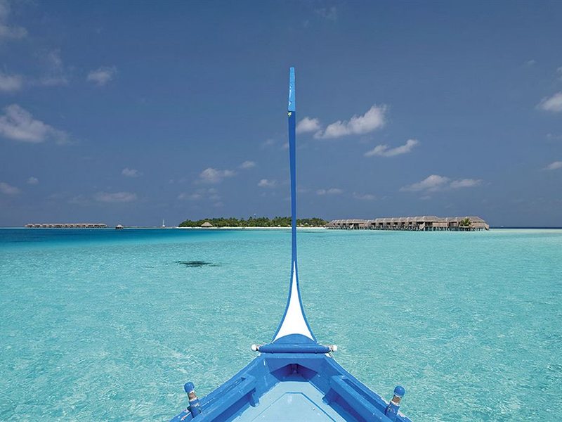 Constance Moofushi 134395