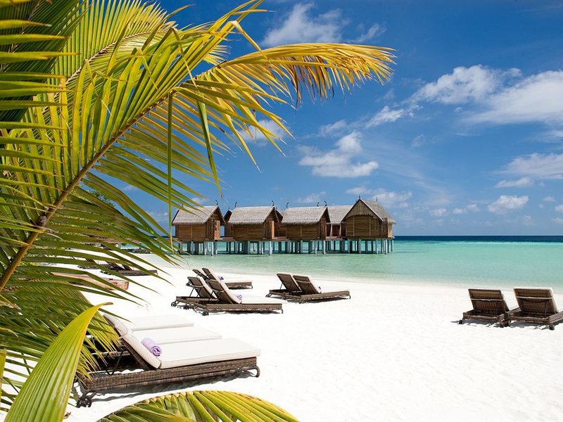 Constance Moofushi 134434