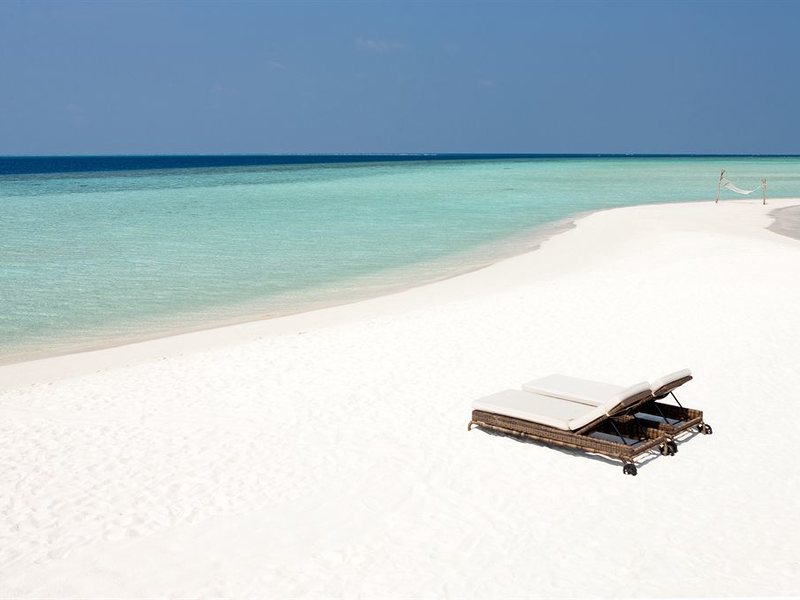 Constance Moofushi 134437