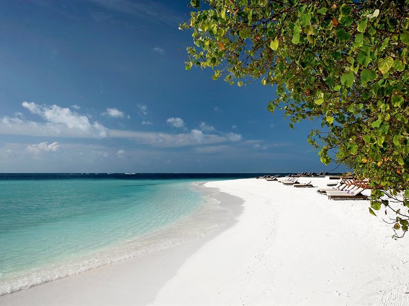 Constance Moofushi 134440