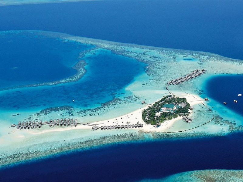 Constance Moofushi 134442