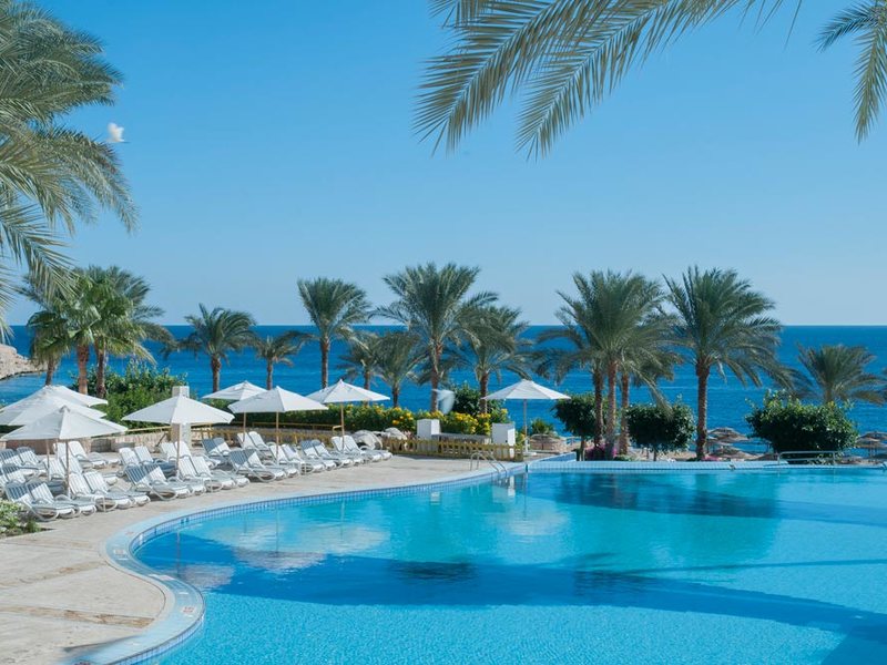 Continental Garden Reef 122459