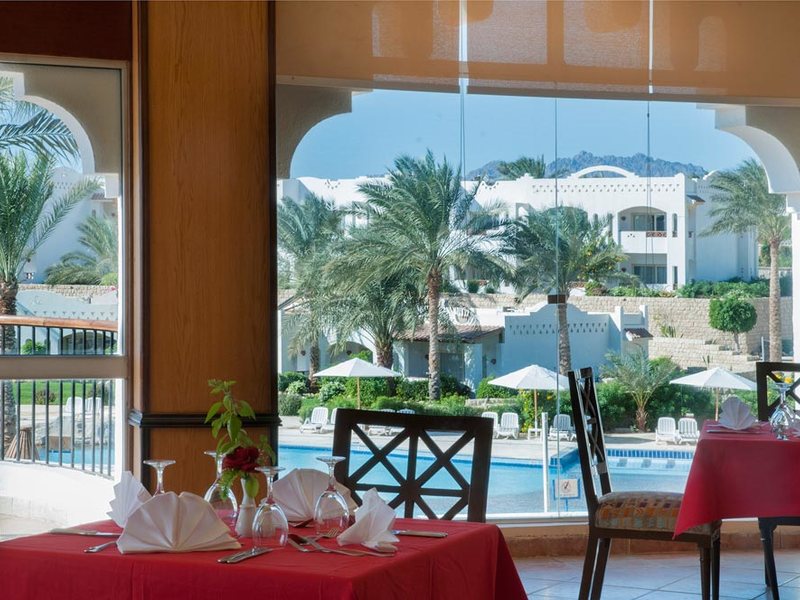 Continental Garden Reef 122460