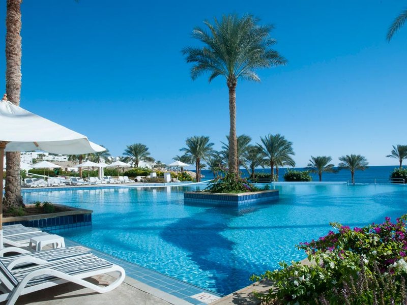 Continental Garden Reef 122464