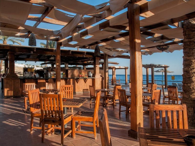 Continental Garden Reef 122467