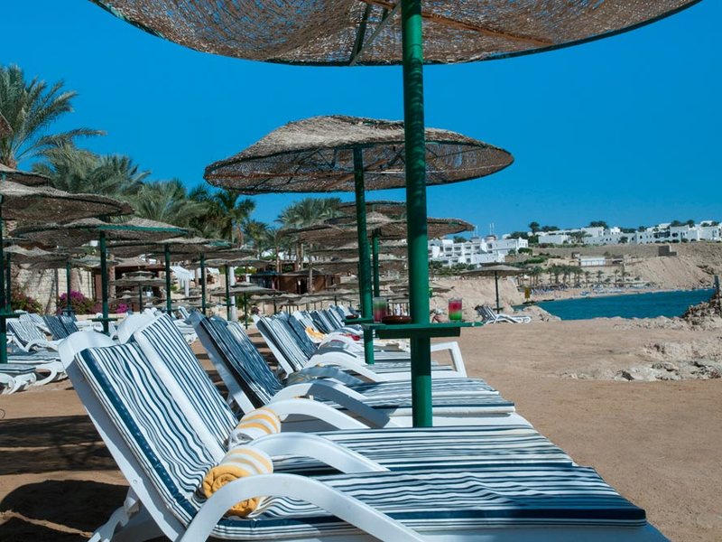 Continental Garden Reef 122468