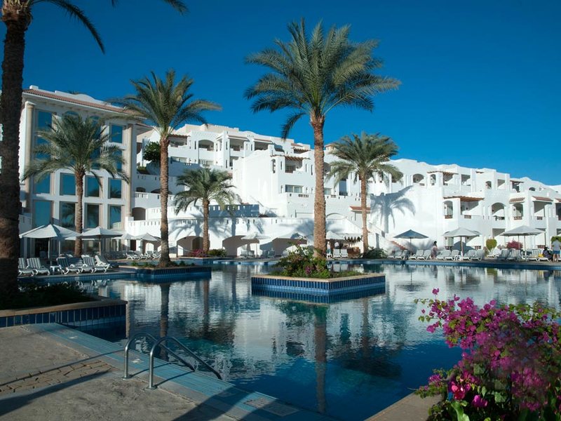 Continental Garden Reef 122479