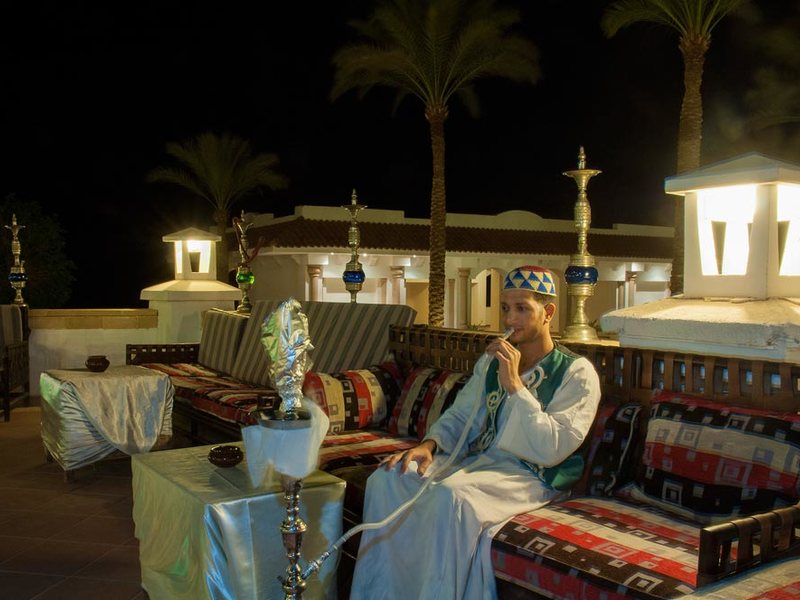 Continental Garden Reef 122480