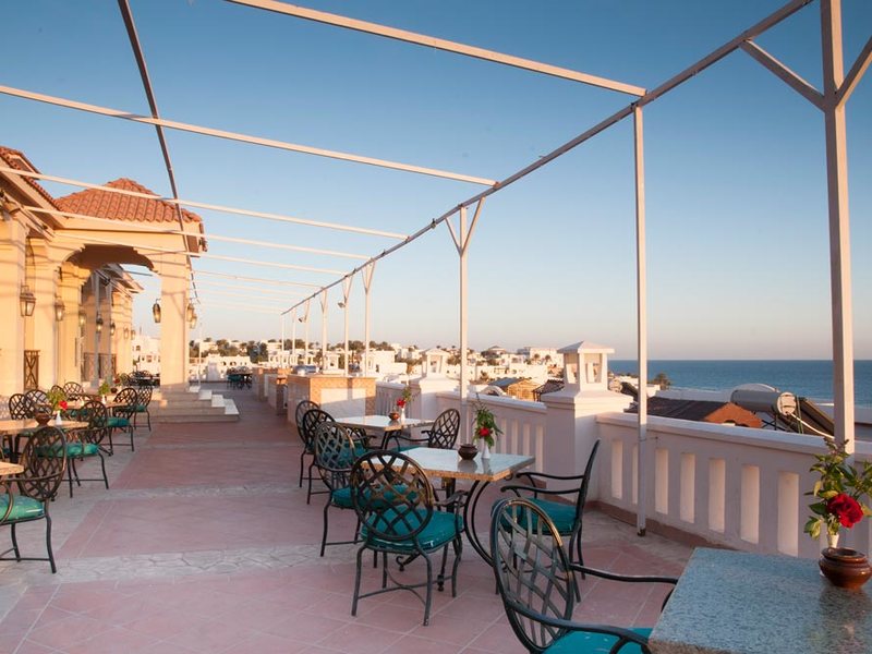 Continental Garden Reef 122481