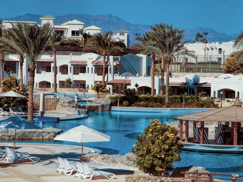 Continental Garden Reef 122504