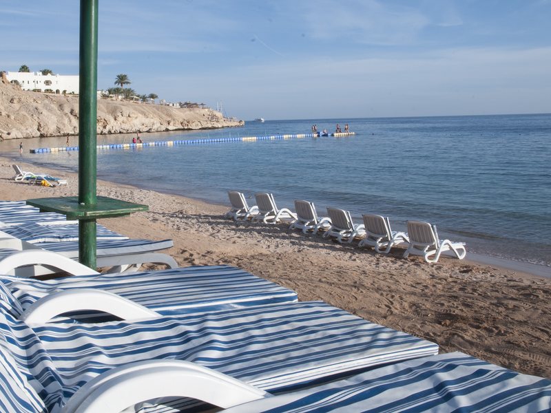 Continental Plaza Beach 122532