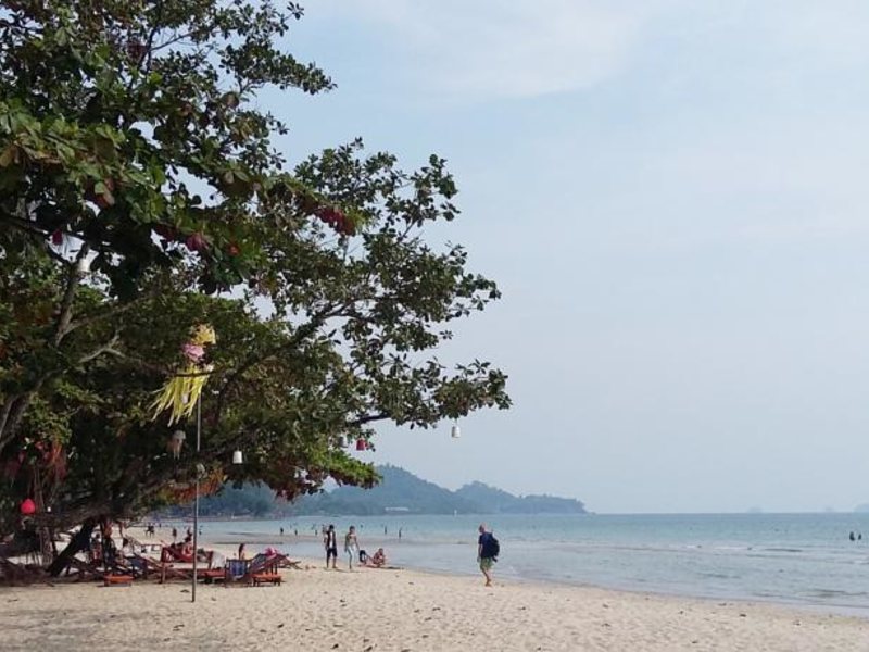 Cookies Hotel Koh Chang 154710