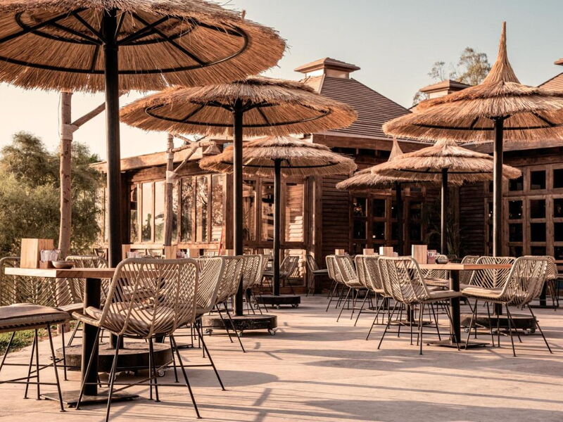 Cook s Club El Gouna 326090