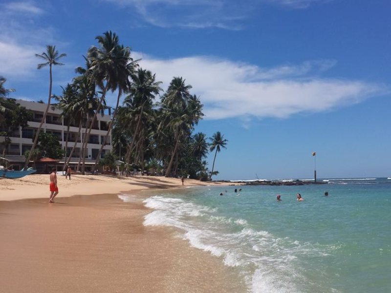 Cool Beach Hotel 193465