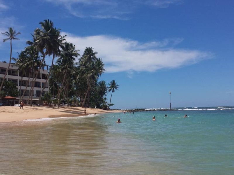 Cool Beach Hotel 193467