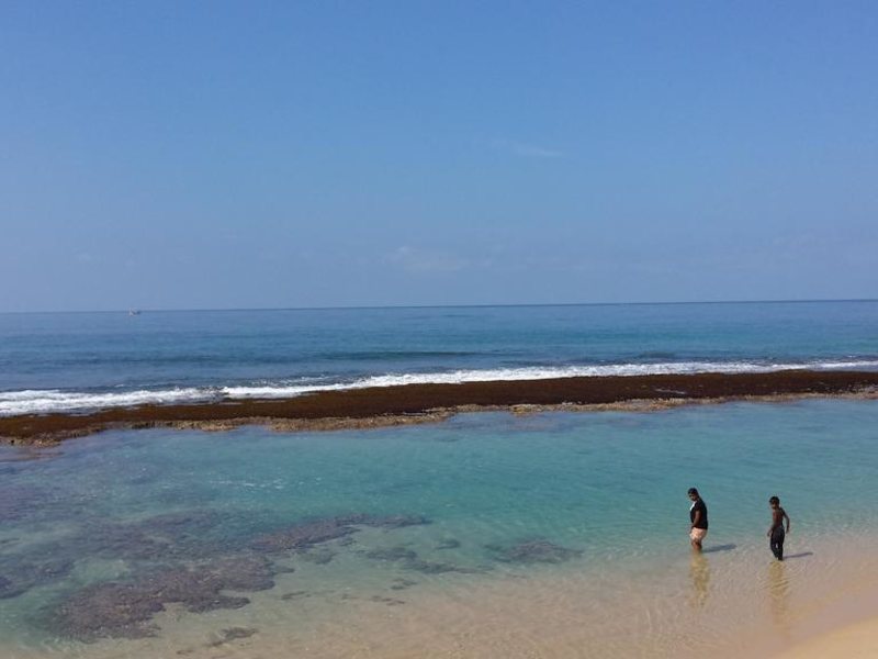 Cool Beach Hotel 193471