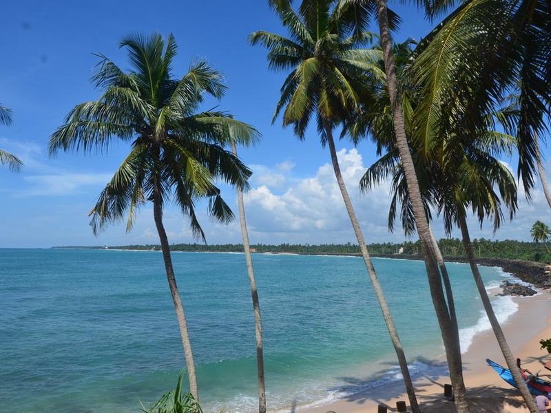 Cool Beach Hotel 193474