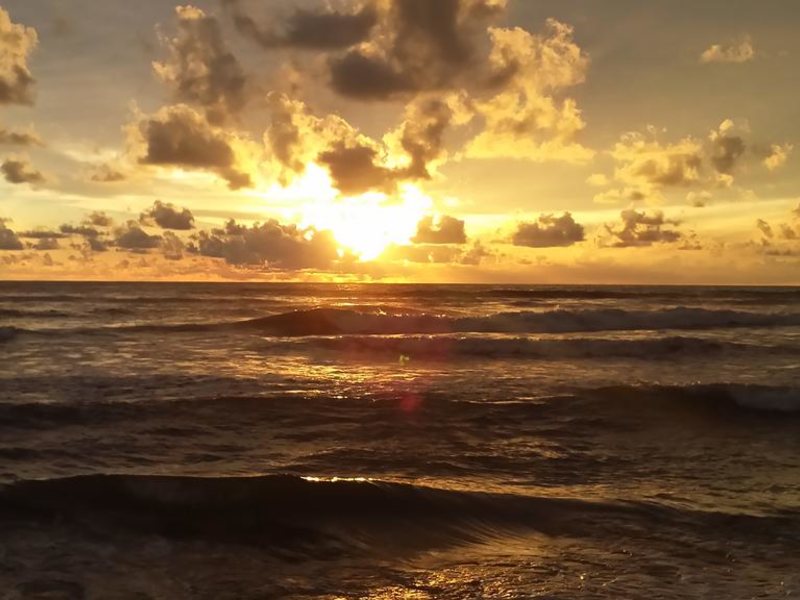 шри ланка бунгало. побережье с пальмами. Cool beach. Thai lanka, хиккадува. мальдивы хитхадху.