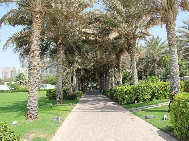Coral Beach Resort Sharjah  45930
