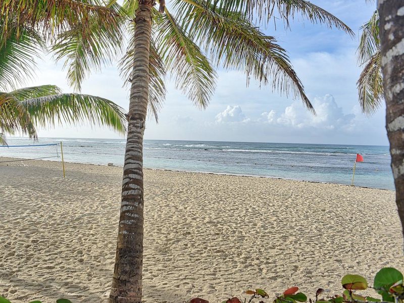 Coral Costa Caribe Resort & Spa 292204