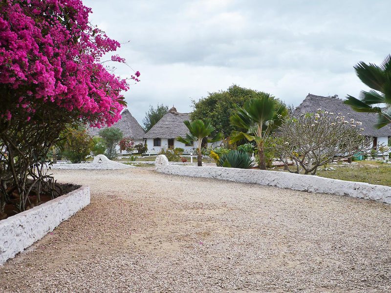 Coral Reef Resort  199057