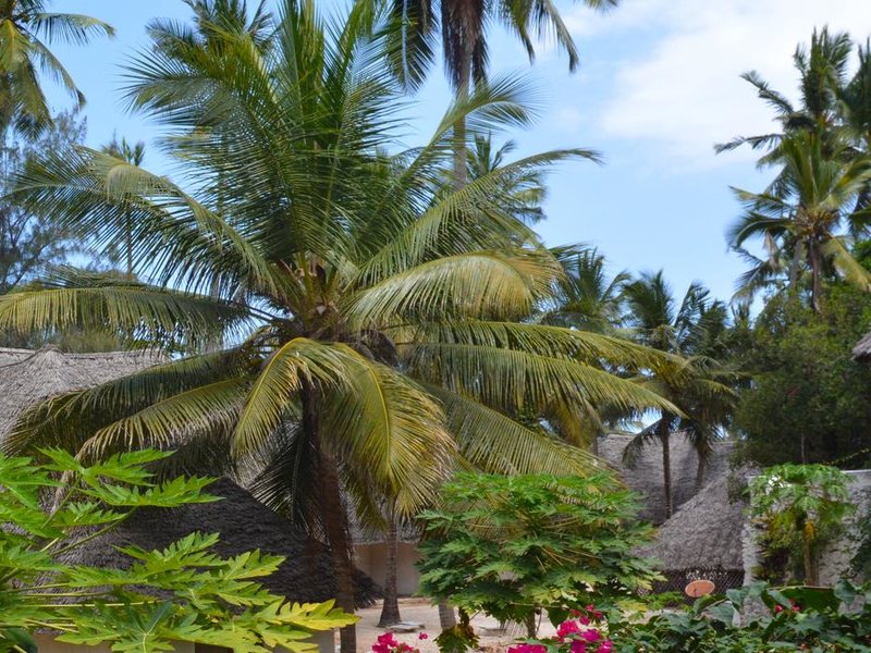 Coral Reef Resort  199085