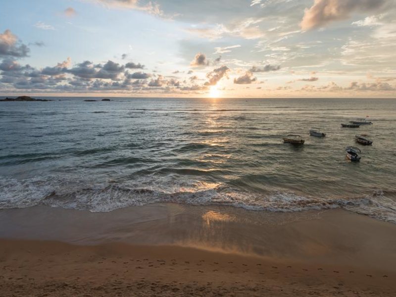 Coral Rock by Bansei (Ex 107224