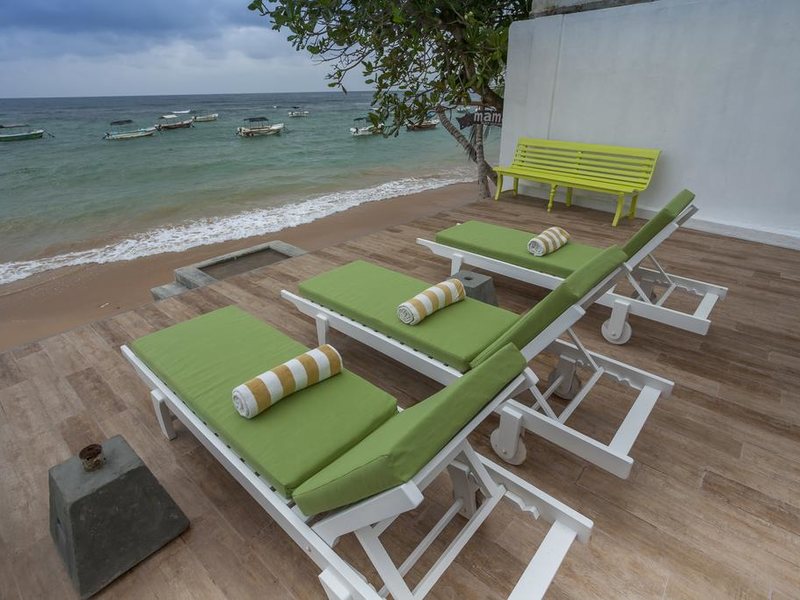 Coral Rock by Bansei (Ex 107229