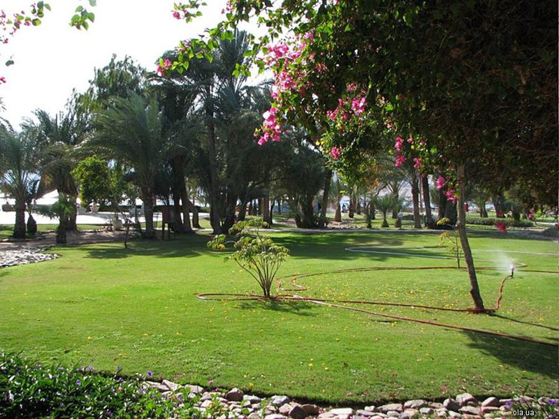 Coralia Club Dahab 20331