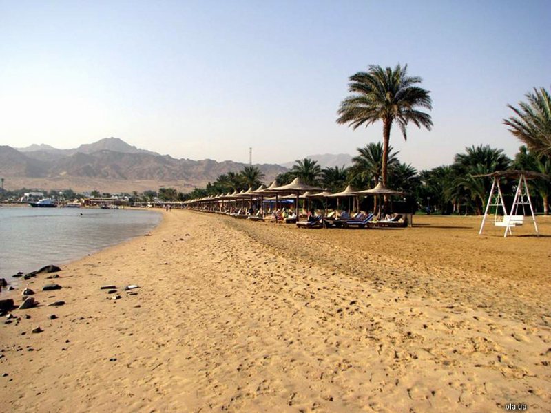 Coralia Club Dahab 20339