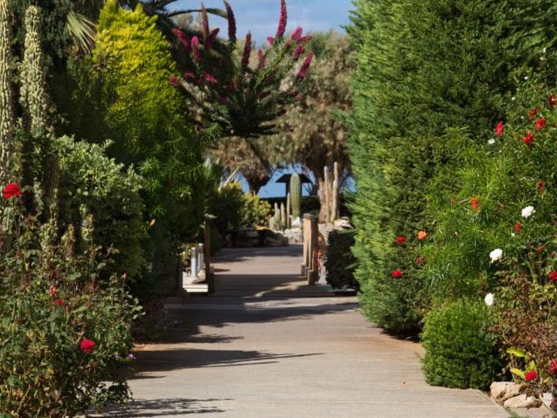 Cretan Malia Park 82683