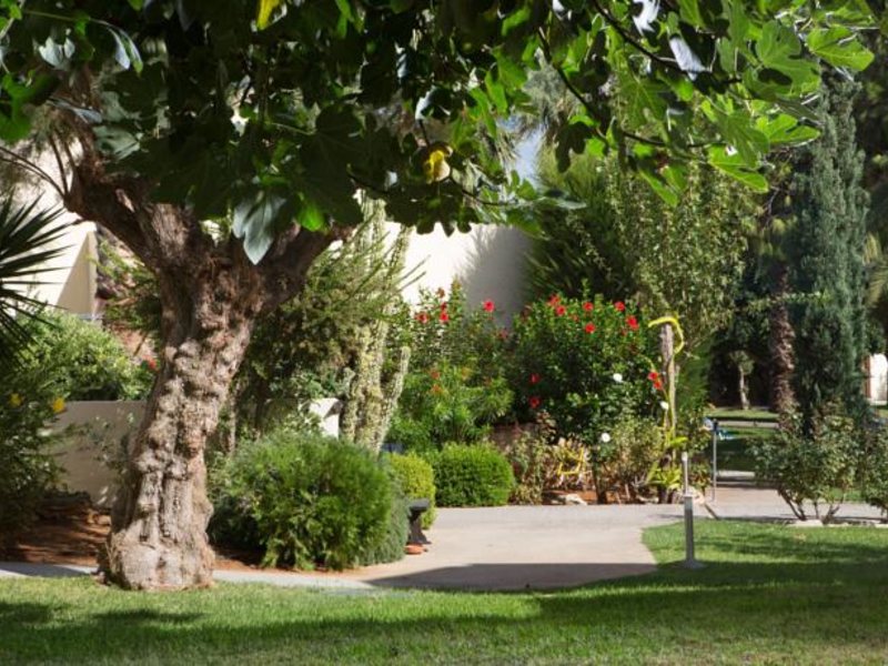 Cretan Malia Park 82684