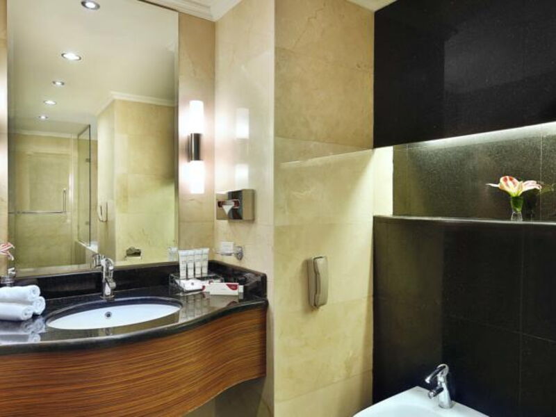 Crowne Plaza Amman 120288