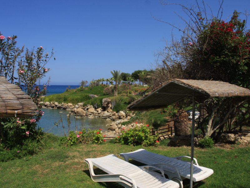 Crystal Springs Beach Hotel 100443