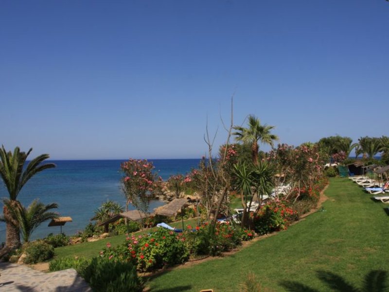 Crystal Springs Beach Hotel 100454