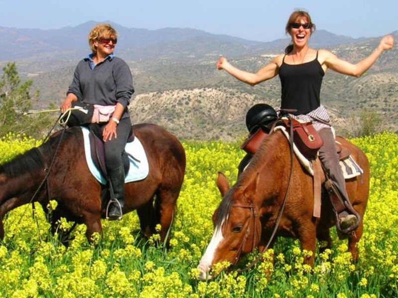 Cyprus Villages Traditional Houses Apts 82759