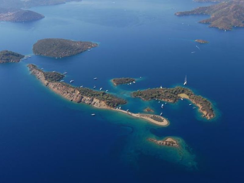 D-Resort Gogek Special 65075