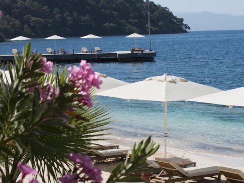 D-Resort Gogek Special 65079