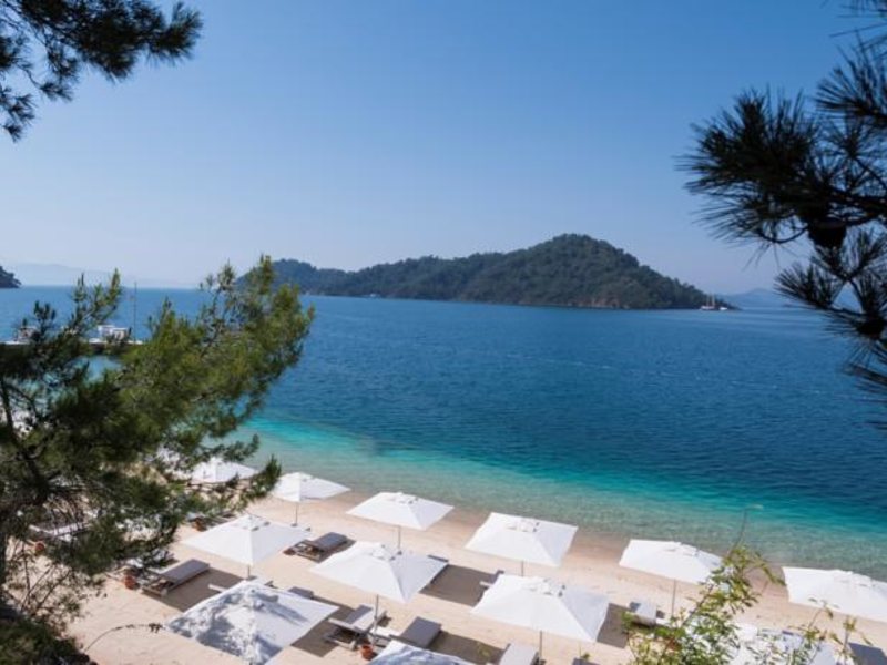 D-Resort Gogek Special 65087