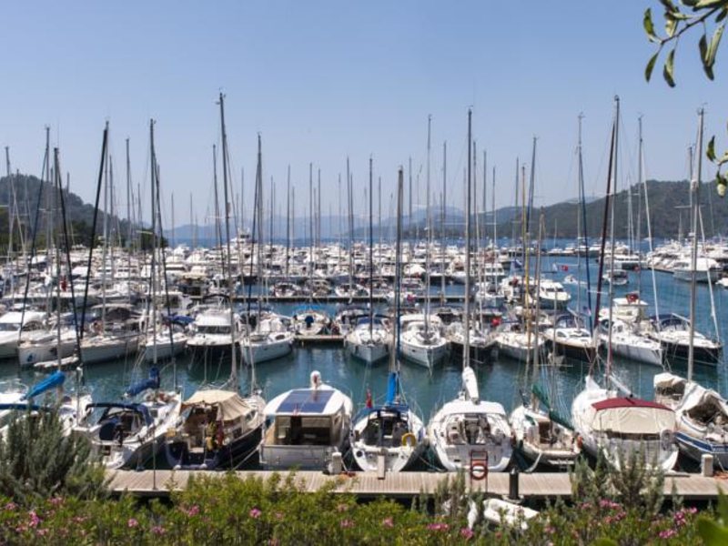 D-Resort Gogek Special 65088