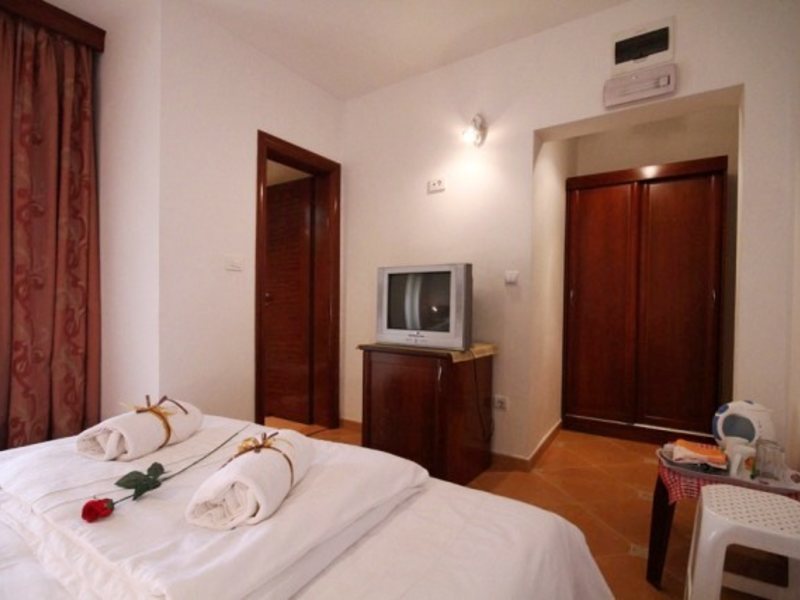 DANICA FRANETA 69463