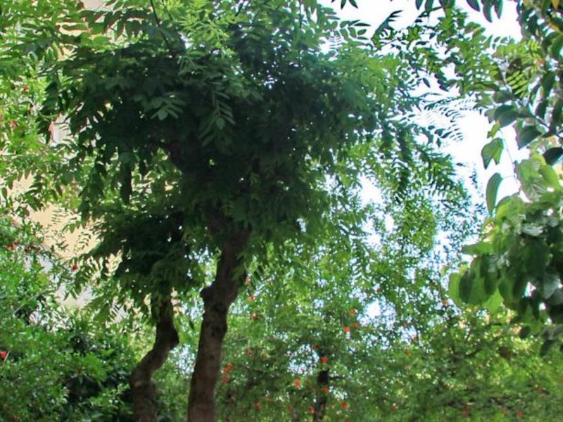 D&D Resort  ( ех 97069